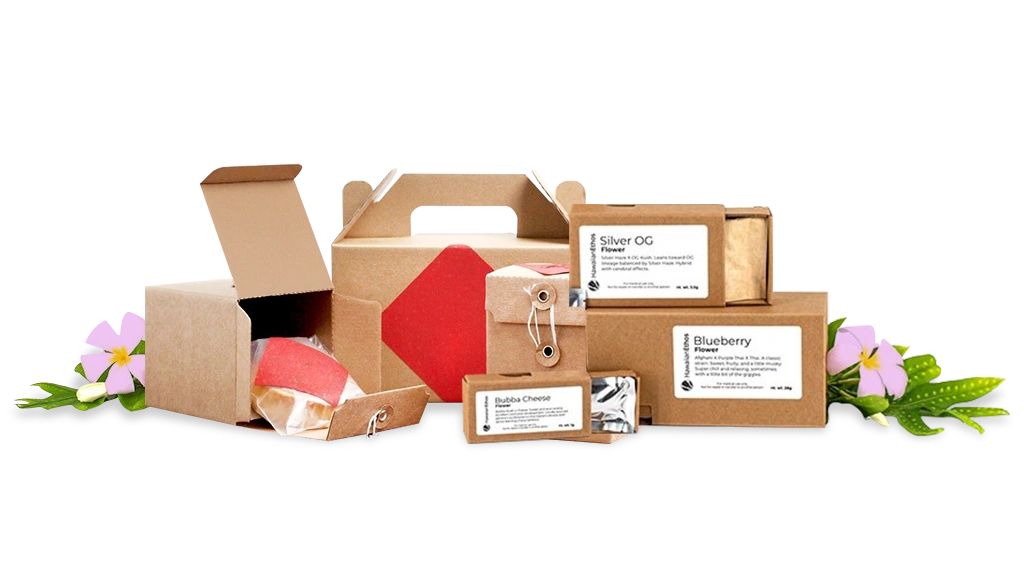 foldable packaging box collection